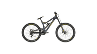Bergamont Straitline Elite ANTHRACITE/BLACK/GOLD (MATT)