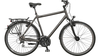Bicycles EXT 700+ GRAU MATT