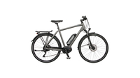 Bicycles Porto 10.5 GRAU MATT