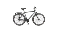 Bicycles Salerno GRAU MATT