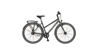 Bicycles Salerno Trapez GRAU MATT