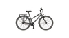 Bicycles Salerno Trapez GRAU MATT
