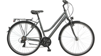 Bocas TRK 300 Curve SILBER MATT