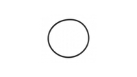 Bosch O-Ring SILBER