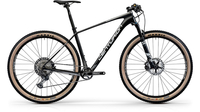 Centurion Backfire Carbon 3000 MATT-CARBON (ANTHRAZIT/SILBER)