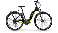Centurion E-Fire City R750 Wave MATTSCHWARZ (GRAU/LIME)