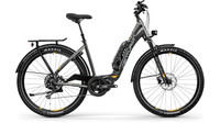 Centurion E-Fire Country F2500 GUNMETAL (GRAU/GELB)