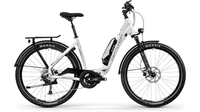 Centurion E-Fire Country F750 POLARWEISS (GRAU)