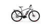Centurion E-Fire Sport R650 SILBER(ROT/SCHWARZ/WEIß)