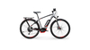 Centurion E-Fire Sport R850 SILBER(ROT/SCHWARZ/WEIß)