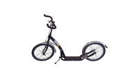 City-Roller 20 Zoll mit V-Bremse SCHWARZ