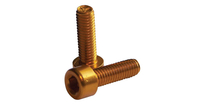 FASI Alu-Schrauben f Flaschenhalter GOLD