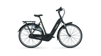 Gazelle Arroyo C7+ HMB Spezial WA BLACK