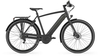 Gazelle Cityzen C8+ HMB Herren FL BLACK MATT