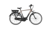 Gazelle Orange C7+ HMB He. Platin BLACK