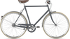 Gazelle Van Stael V7 DUST LIGHT