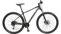 Merida Big.Nine 100 SE GOLD/SILBER