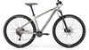 Merida Big.Nine 500 SILK TITAN(SILVER/BLACK)