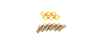 Quaxar Stainless Steel Bolzen GOLD