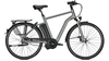 Raleigh Boston Premium 17, 5 Ah RT IRONGREY MATT