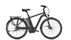 Raleigh Boston Premium 17, 5 Ah RT MAGICBLACK MATT