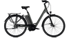 Raleigh Boston Premium 17, 5Ah FL WA IRONGREY MATT