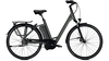 Raleigh Boston Premium 17, 5Ah RT WA IRONGREY MATT