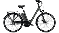 Raleigh Boston Premium 17, 5Ah RT WA IRONGREY MATT