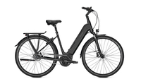Raleigh Bristol 8 13, 4 Ah RT Wave PHANTOMGREY MATT