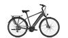 Raleigh Bristol 9 13, 4 Ah DIAMONDBLACK MATT