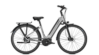 Raleigh Bristol PREM 13, 4 Ah FL WA STEELGREY MATT