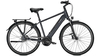 Raleigh Bristol Premium 13, 4 Ah FL STEELGREY MATT