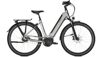 Raleigh Bristol XXL Wave RT STEELGREY MATT