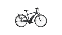 Raleigh Cardiff 8 HS 13, 4 Ah FL SEABLUE MATT
