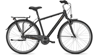 Raleigh Chester 7 MAGICBLACK MATT