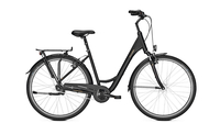 Raleigh Chester 7 Wave MAGICBLACK MATT