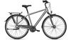 Raleigh Chester 8 STEELGREY MATT