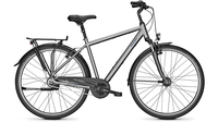 Raleigh Chester 8 STEELGREY MATT