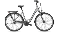Raleigh Chester 8 STEELGREY MATT