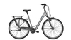 Raleigh Chester 8 Wave STEELGREY MATT