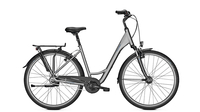 Raleigh Chester 8 Wave STEELGREY MATT