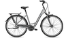 Raleigh Chester 8 Wave STEELGREY MATT