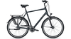Raleigh Chester 8 XXL SEABLUE MATT