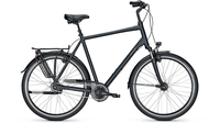 Raleigh Chester 8 XXL SEABLUE MATT