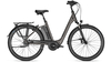 Raleigh Corby 8 XXL RT ATLASGREY MATT