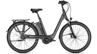 Raleigh Corby 8 XXL RT ATLASGREY MATT