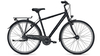 Raleigh Devon 8 MAGICBLACK MATT