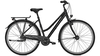 Raleigh Devon 8 Trapez MAGICBLACK MATT