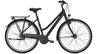 Raleigh Devon 8 Trapez MAGICBLACK MATT