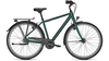 Raleigh Devon HS KOMBUGREEN MATT